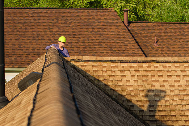Expert Roof Repair Solutions